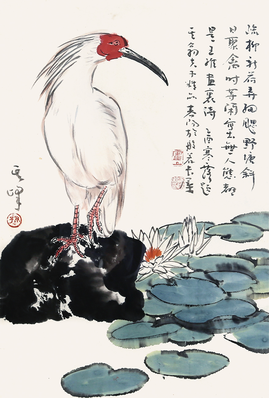 荷塘珍禽