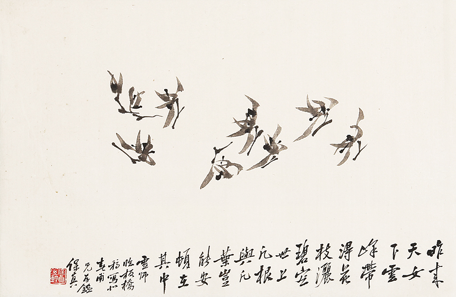兰花