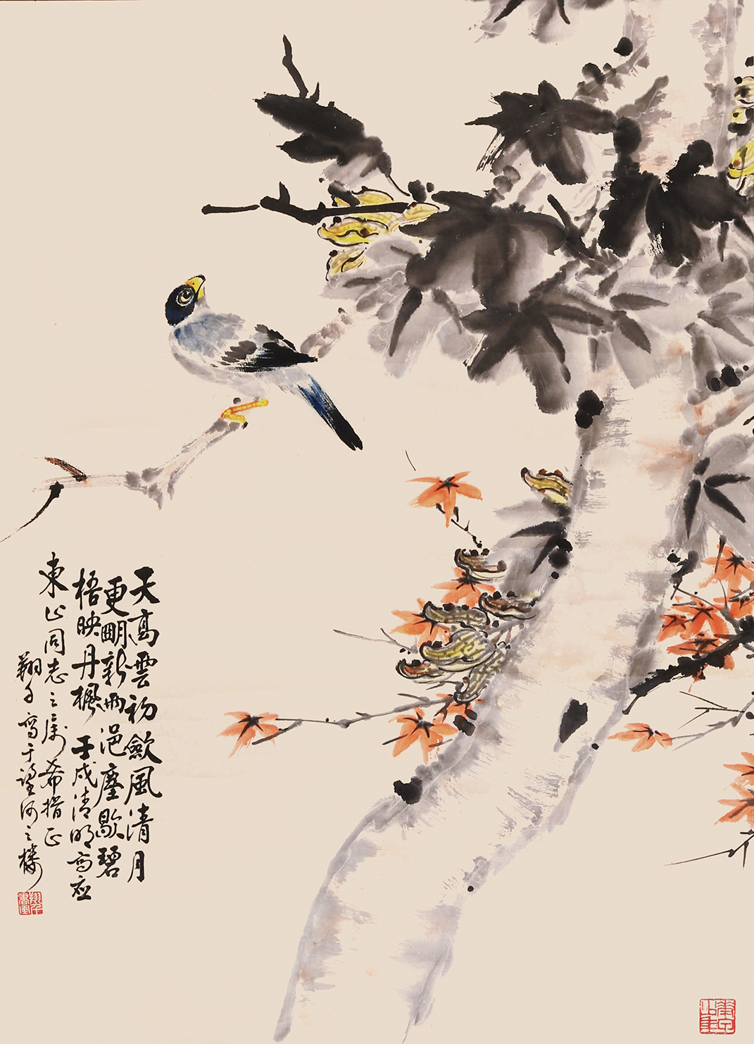 梧映丹枫