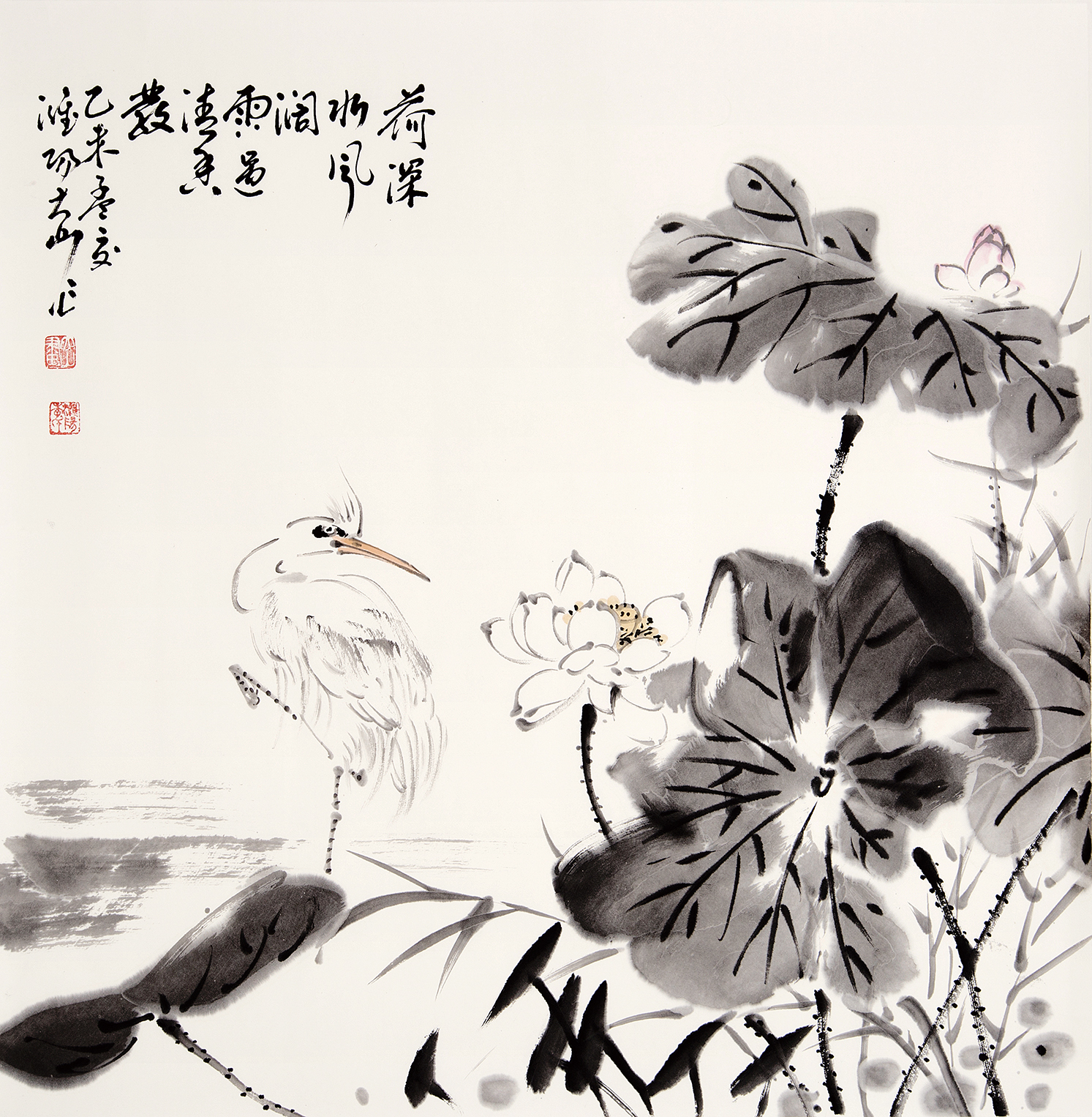 荷浮水风阔