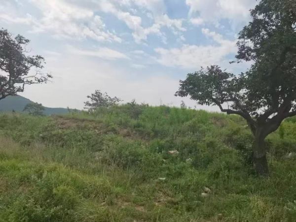 青州住宅用地一宗招商公告